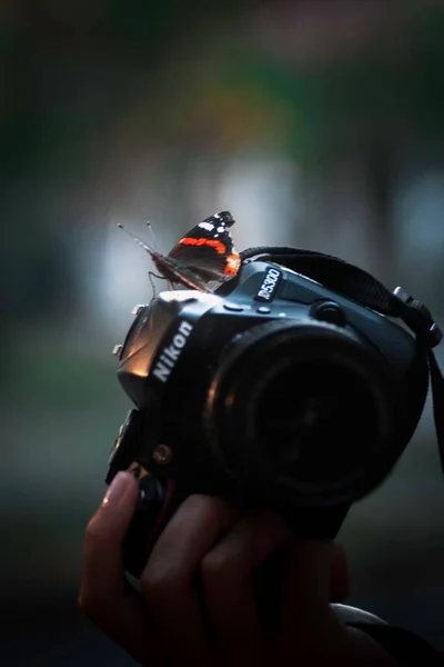 Close Vertical Uma Borboleta Empoleirada Uma Câmera Nikon Fundo Embaçado — Fotografia de Stock