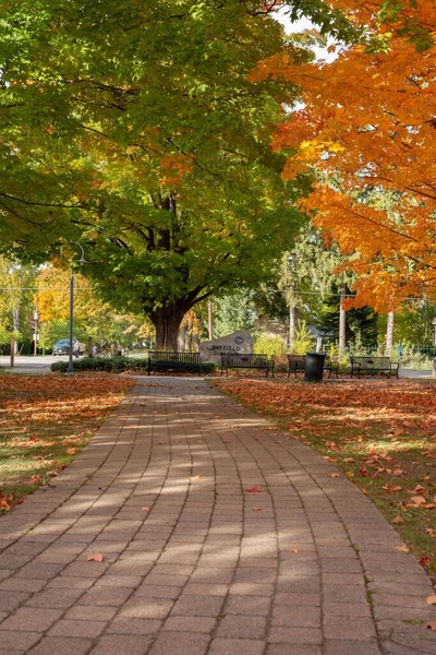 Ein Steinboden Straße Park Mit Herbstlichen Bunten Bäumen Vertikale Aufnahme — Stockfoto