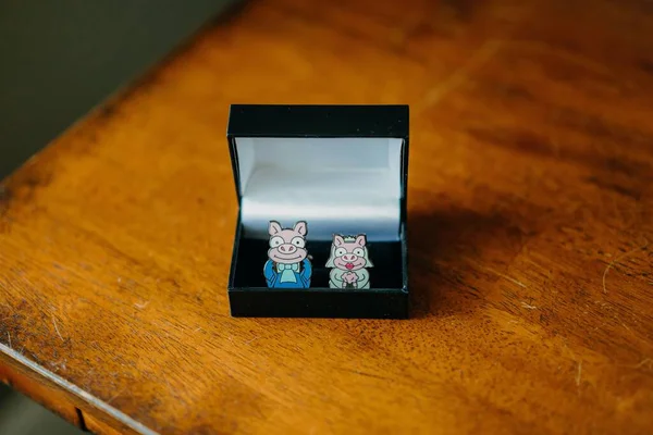 Closeup Shot Pair Funny Pig Bride Groom Pins Box — Stock Photo, Image