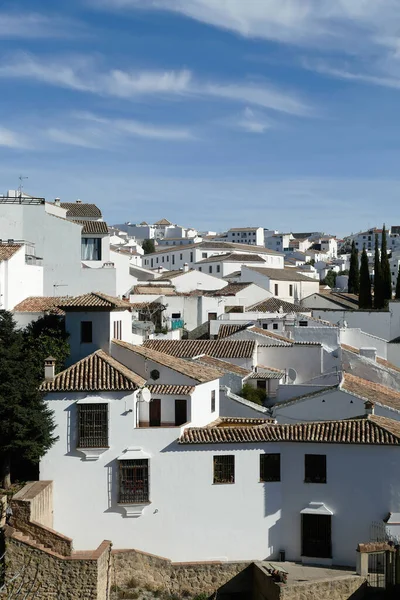 在阳光灿烂的日子里 罗多西班牙美丽的白色建筑和房屋的垂直照片 — 图库照片