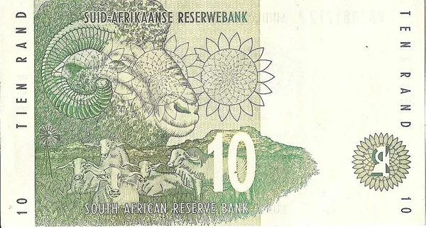 Південноафриканській Банкноті Рандів Вівцями Надрукованими Ній — стокове фото