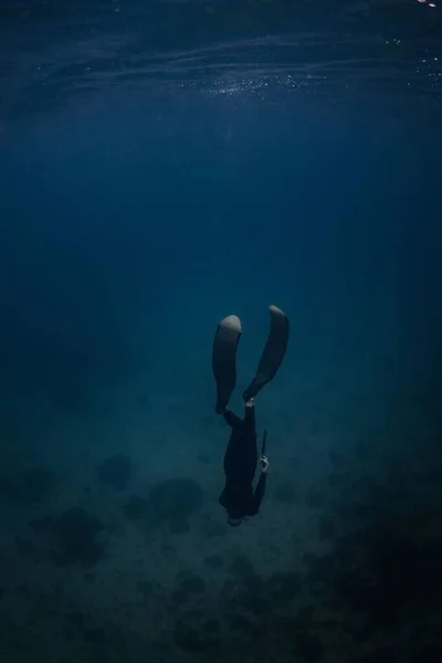 海でのスキューバダイビング中の人間 — ストック写真