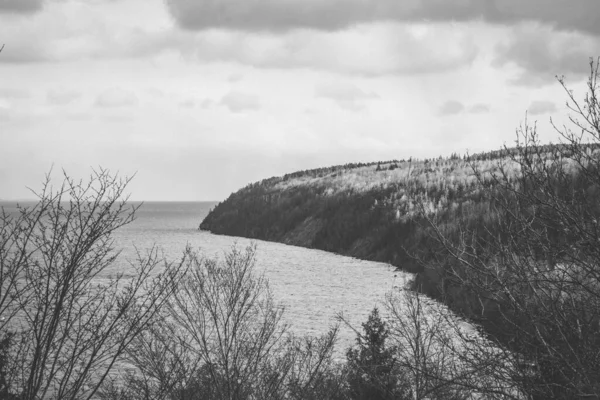 丘の上の木々や曇り空の下の湖のグレースケールの美しい景色 — ストック写真
