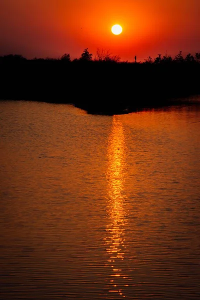 Sunset Scene Golden Sky Reflecting Water Silhouette Trees Vertical Shot — Stock Photo, Image