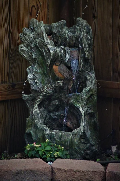 Colorido Pájaro Hueco Decorativo Con Una Cascada Cerca Una Pared —  Fotos de Stock