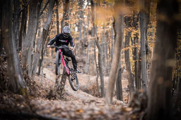 Знімок Вершника Костюмі Holeshotpunx Під Час Виконання Велосипедних Трюків Лісі — стокове фото