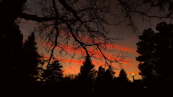 Прекрасный Снимок Яркого Закатного Неба Над Силуэтом Болгарского Парка Велико — стоковое фото