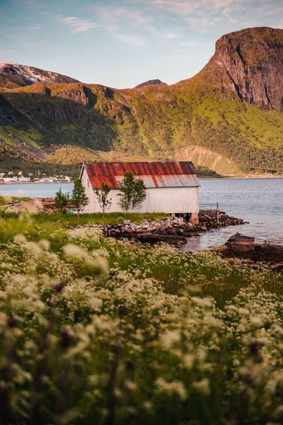 Вертикальный Снимок Зеленого Пейзажа Старый Дом Ржавой Крышей Берегу Озера — стоковое фото
