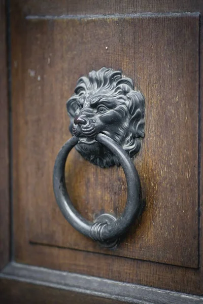 Vertical Closeup Old Metallic Door Knob Shape Lion Head — Stock Photo, Image