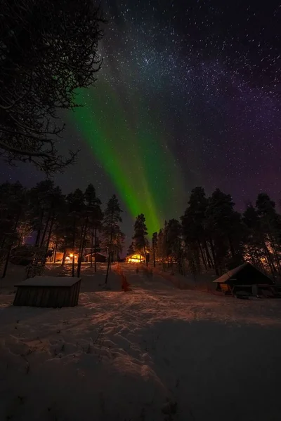 Eine Wunderschöne Landschaft Aus Polarlichtern Nachthimmel Über Dem Wald — Stockfoto