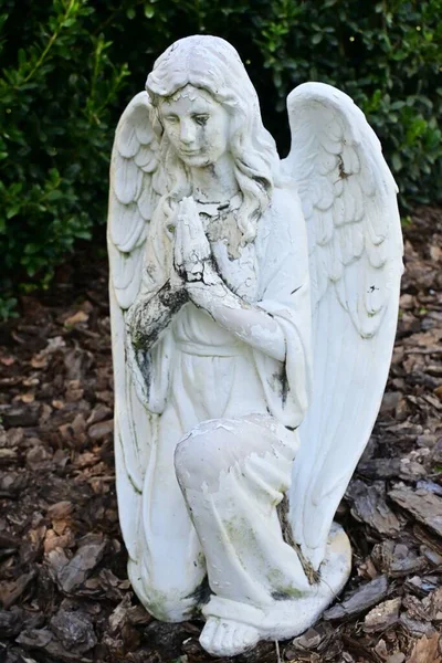 Вертикальный Снимок Скульптуры Ангела Саду — стоковое фото