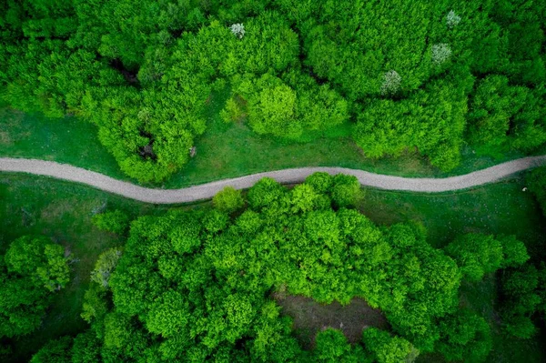 Uma Vista Aérea Uma Estrada Campo Verde Entre Árvores — Fotografia de Stock