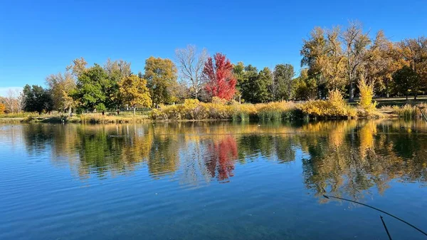 鬱蒼とした秋の木々に囲まれた湖の空中風景 — ストック写真