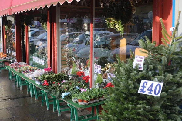 Seasonal Christmas Fruit Vegetable Shop Frontage Christmas Trees Daylight — Stock Photo, Image