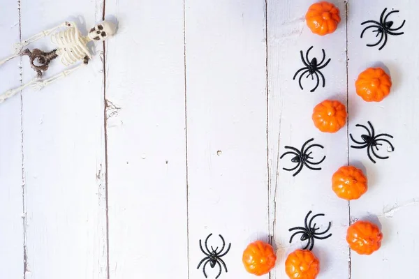 Ein Halloween Hintergrund Mit Skeletten Spinnen Und Harzkürbissen — Stockfoto