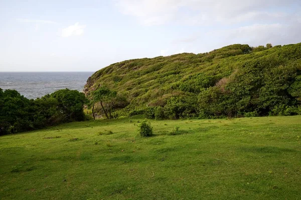 背景に海の見える曇り空の下の緑の丘 — ストック写真