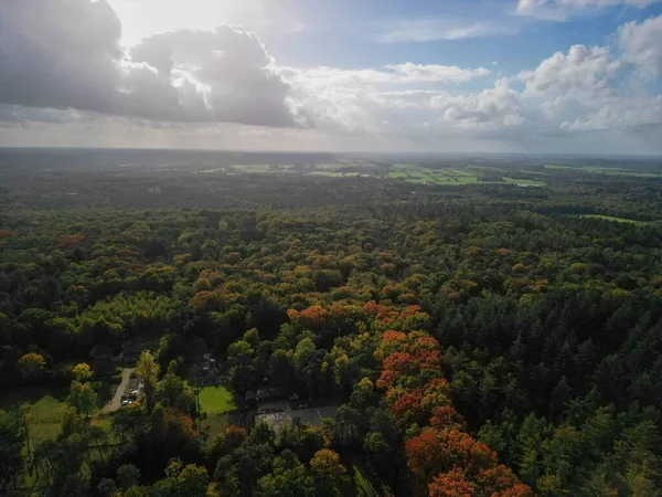 Luftfoto Stor Skov Efterårssæsonen Utrechtse Heuvelrug Holland - Stock-foto