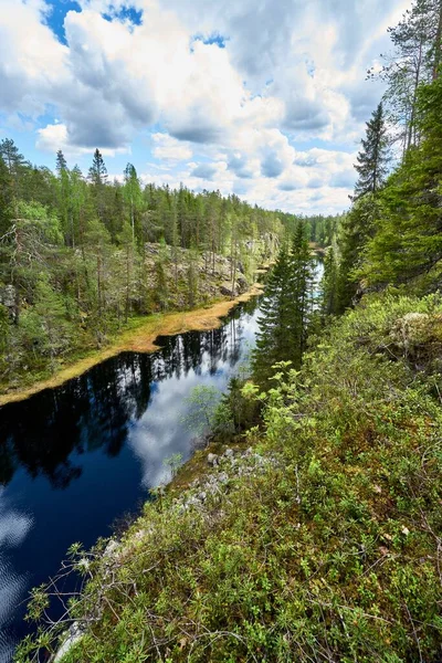 Una Imagen Río Bosque Con Los Reflejos Árboles Agua —  Fotos de Stock