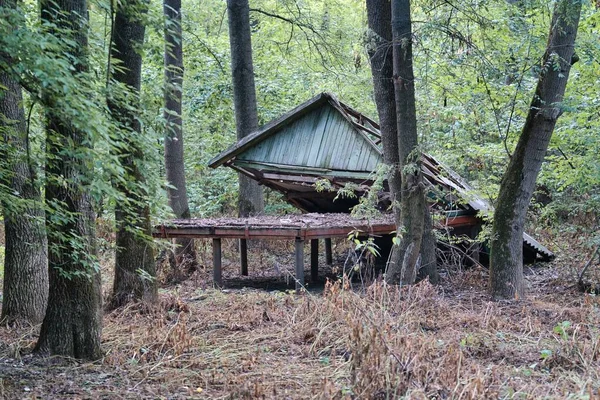 Una Vecchia Casa Legno Distrutta Nel Mezzo Una Foresta — Foto Stock