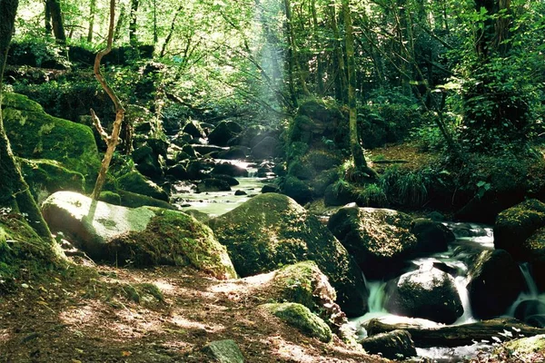 Eine Langzeitbelichtung Eines Flusses Einem Grünen Wald Einem Sonnigen Tag — Stockfoto