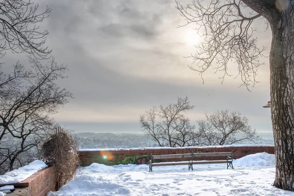Eine Schneelandschaft Mit Bank Und Bäumen Unter Bewölktem Himmel — Stockfoto