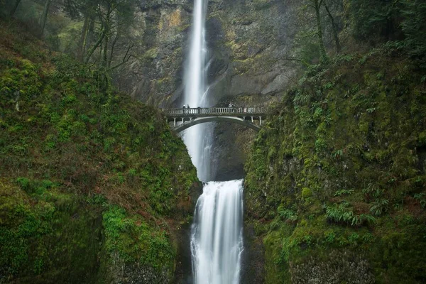 Krajina Multnomah Falls Obklopená Zelení Oregonu Usa — Stock fotografie