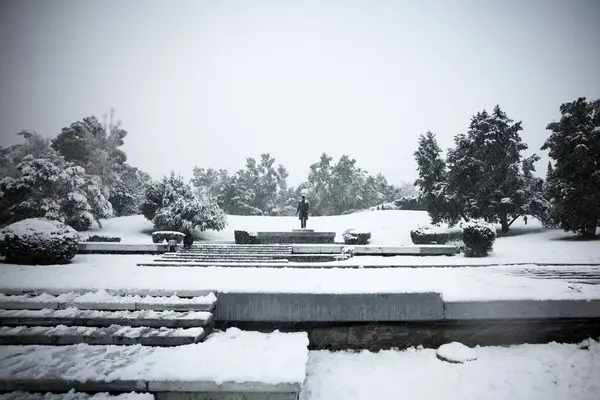 Parque Cubierto Nieve Con Árboles Estatuas Frío Día Invierno — Foto de Stock
