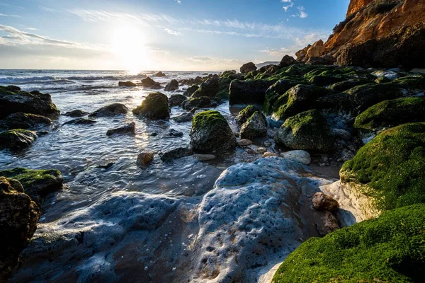 Güneş Doğarken Sahil Şeridindeki Yosun Kaplı Taşların Güzel Manzarası — Stok fotoğraf