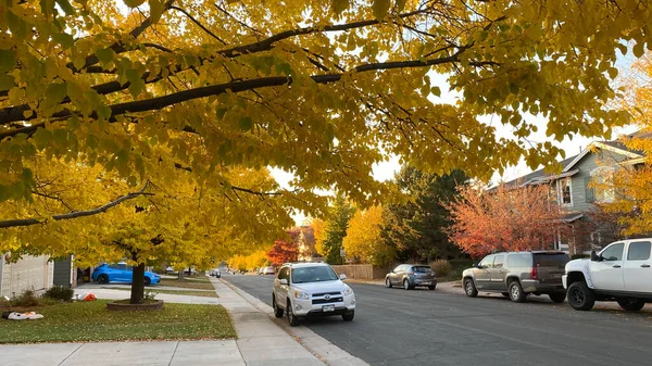 Ein Natürlicher Blick Auf Herbstliche Bäume Straßenrand Highlands Ranch Colorado — Stockfoto