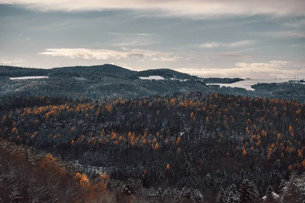 山や森のあるオーストリアの冬は — ストック写真