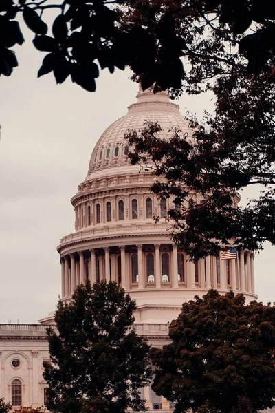 Washington Capitol Ağaçların Arkasındaki Dikey Çekimi — Stok fotoğraf