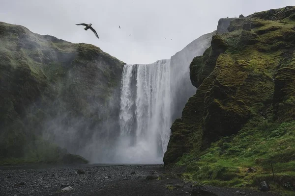 Piękny Naturalny Widok Wodospad Skogafoss Islandii — Zdjęcie stockowe