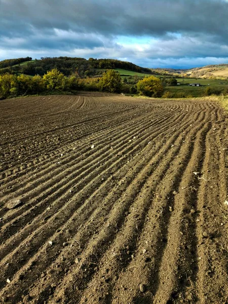 Eine Vertikale Aufnahme Eines Gepflügten Landwirtschaftlichen Feldes Einer Landschaft — Stockfoto