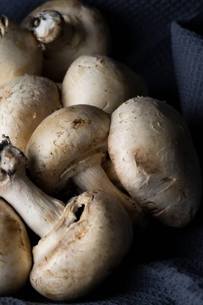 特写镜头 美味营养的新鲜蘑菇 — 图库照片