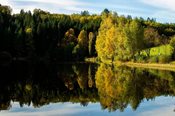 Krásný Záběr Jezera Odrážející Zelené Lesní Stromy — Stock fotografie