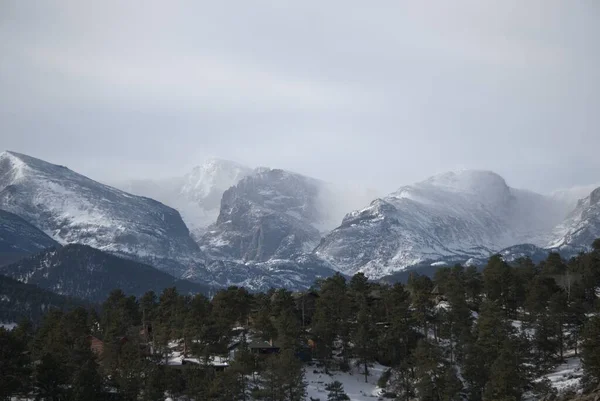 Лес Скалистыми Горами Заднем Плане Покрытый Снегом Зимой — стоковое фото