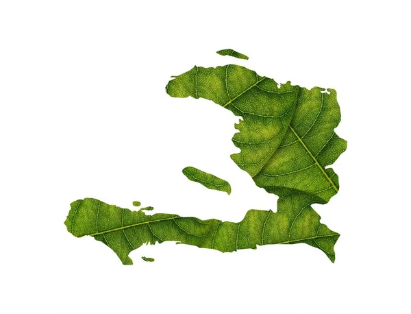 stock image The map of Haiti is made of green leaves on white background, ecology concept, copy space