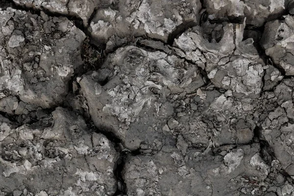 モンサンミシェル近くの乾燥した灰色 風化した地面のトップビュー — ストック写真