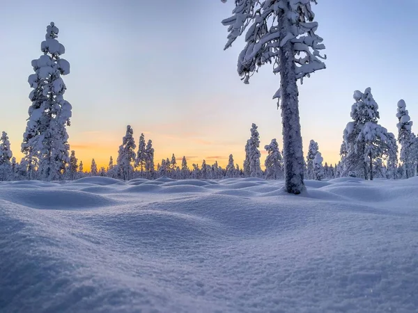 Een Prachtig Uitzicht Een Gele Gloed Lucht Boven Een Bevroren — Stockfoto