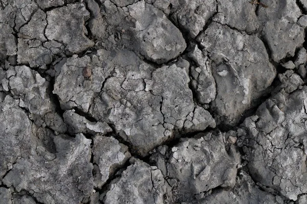 モンサンミシェル近くの乾燥した灰色 風化した地面のトップビュー — ストック写真