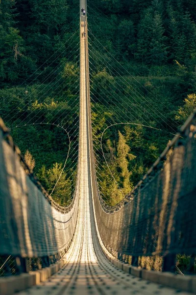 Piękne Ujęcie Mostu Wiszącego Geierlay Sosbergu Niemcy Drzewami Leśnymi Wokół — Zdjęcie stockowe