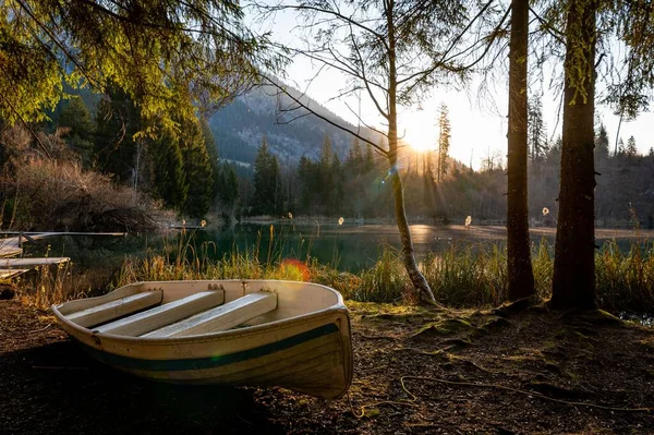 Una Piccola Barca Legata Albero Vicino Lago — Foto Stock