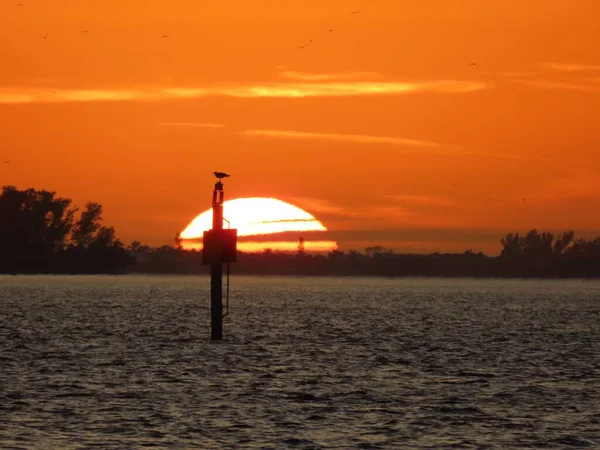 A silhouette of bird perching on tower in background of Anna Maria island during sunset