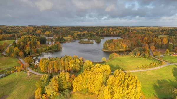 エストニアの暗い秋の日にカラフルな森に囲まれた美しい湖の空中 — ストック写真