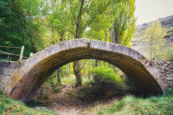 Vieux Pont Puente Talcano Entouré Arbres Automne Verts Jaunes Espagne — Photo
