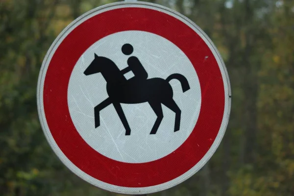 Closeup Horseback Riding Sign Green Trees Stock Photo