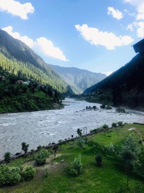 Gün doğarken yeşil ağaçlarla çevrili güzel bir nehir manzarası.