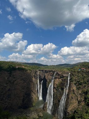 Hindistan 'ın Karnataka kentindeki Sharavati nehrinde Jog Falls Şelalesinin dikey manzarası