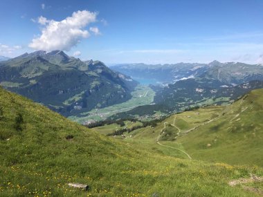 Güneşli bir günde yeşil tarlaları ve dağları olan bir dağlık arazi.