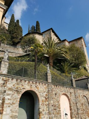 Güneş ışığında palmiye ağaçları olan bir villanın dikey görüntüsü.